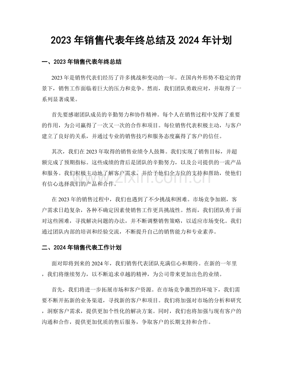 2023年销售代表年终总结及2024年计划.docx_第1页