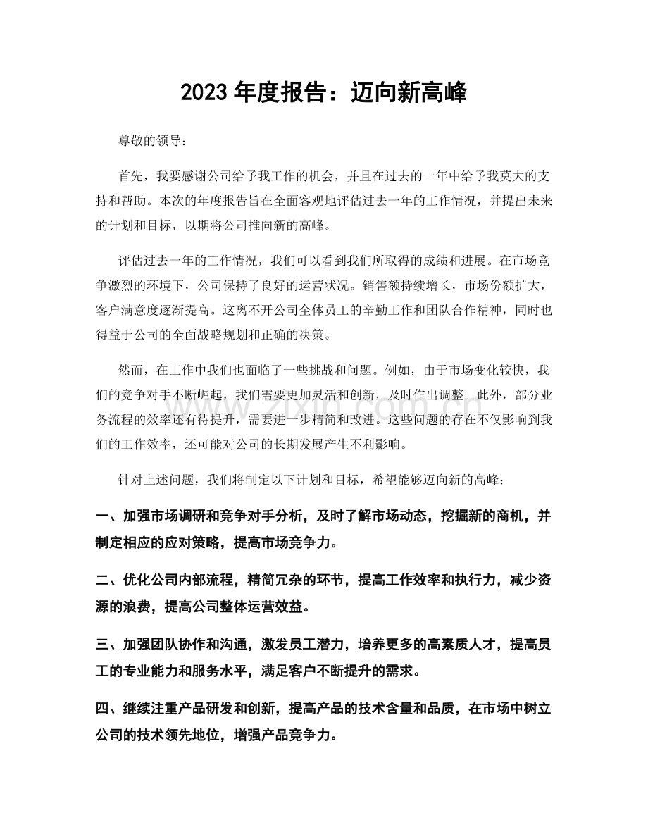 2023年度报告：迈向新高峰.docx_第1页