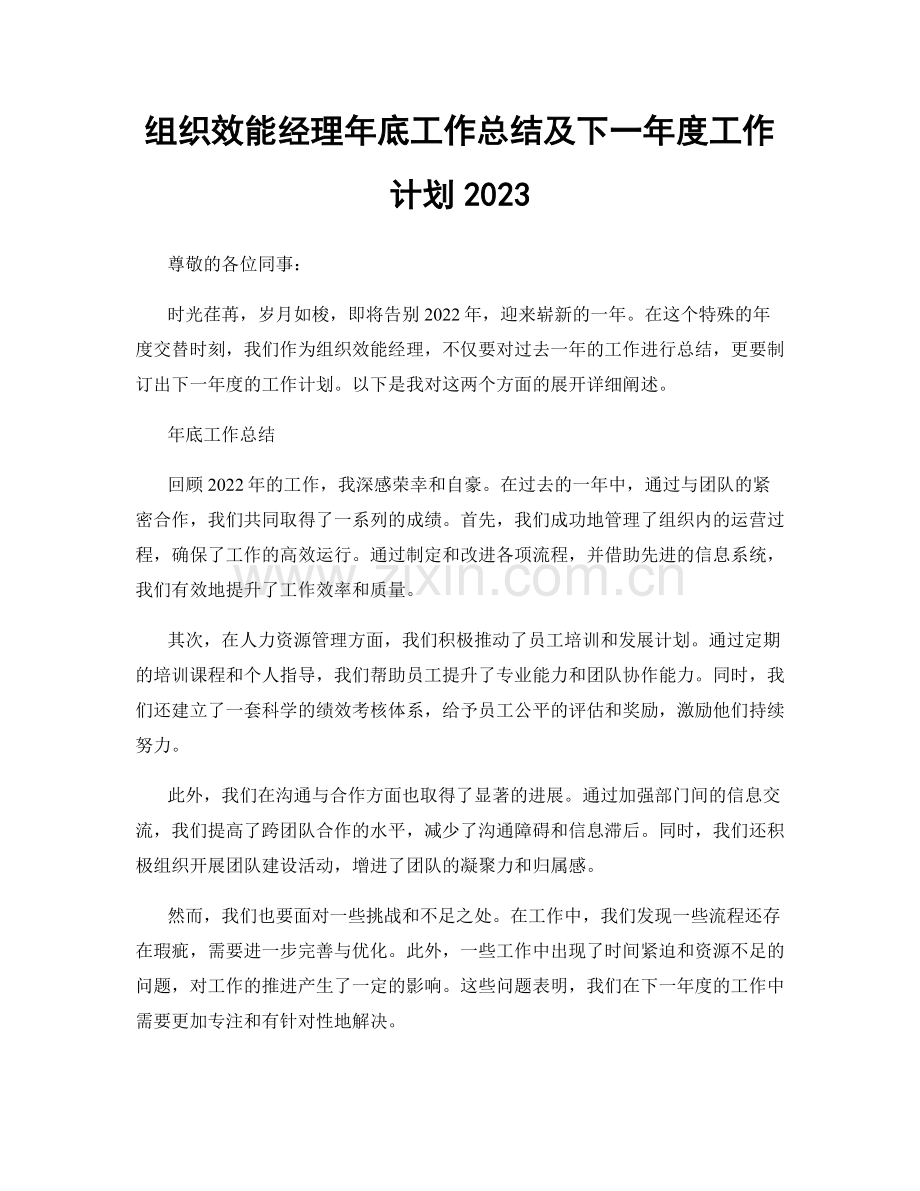 组织效能经理年底工作总结及下一年度工作计划2023.docx_第1页