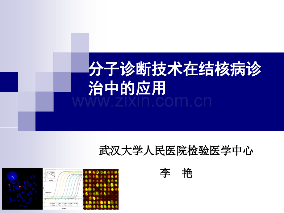 分子诊断技术在结核病诊治中的应用.ppt_第1页