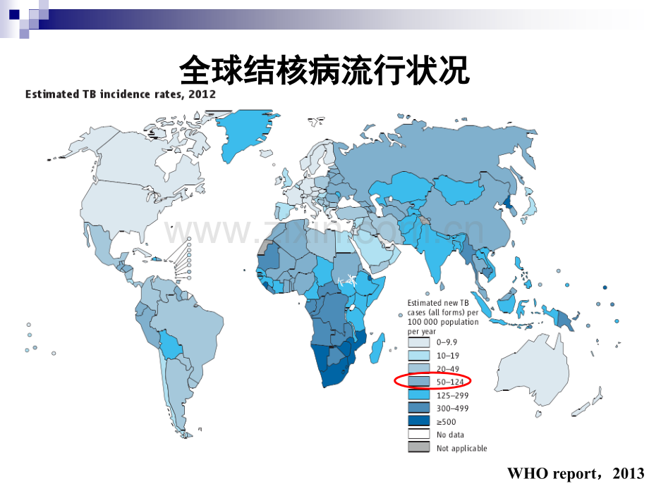 分子诊断技术在结核病诊治中的应用.ppt_第2页