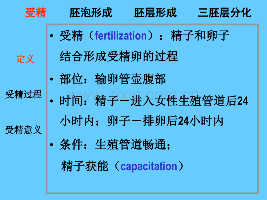 21胚胎发生总论.ppt_第2页