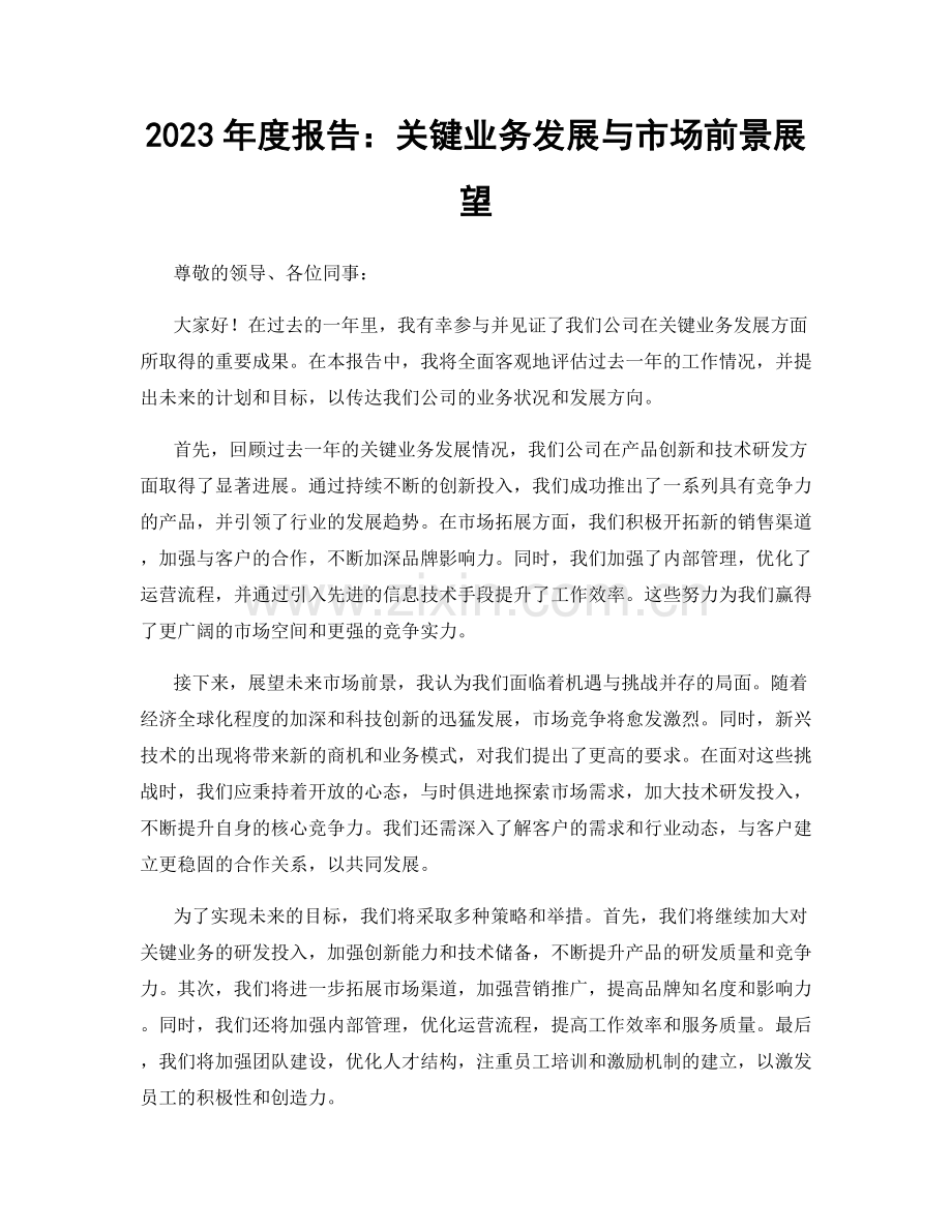 2023年度报告：关键业务发展与市场前景展望.docx_第1页