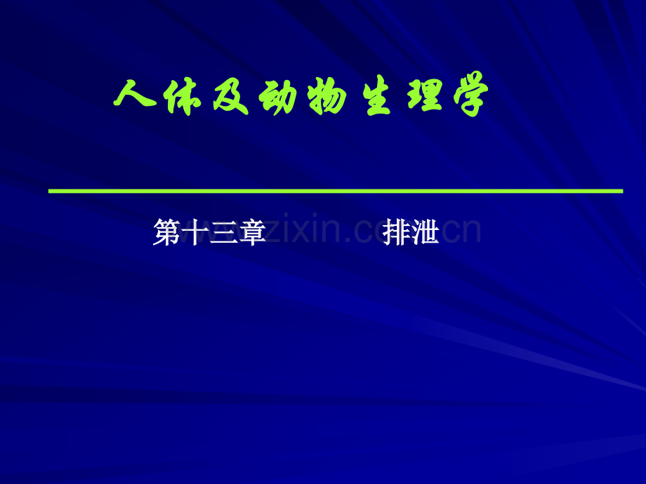 生理学泌尿系统.ppt_第1页