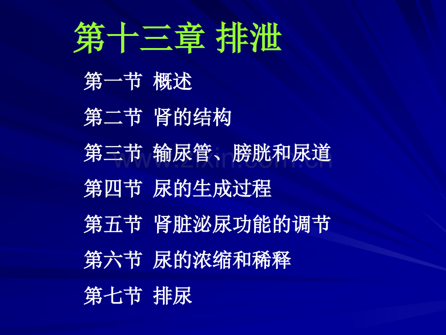 生理学泌尿系统.ppt_第2页