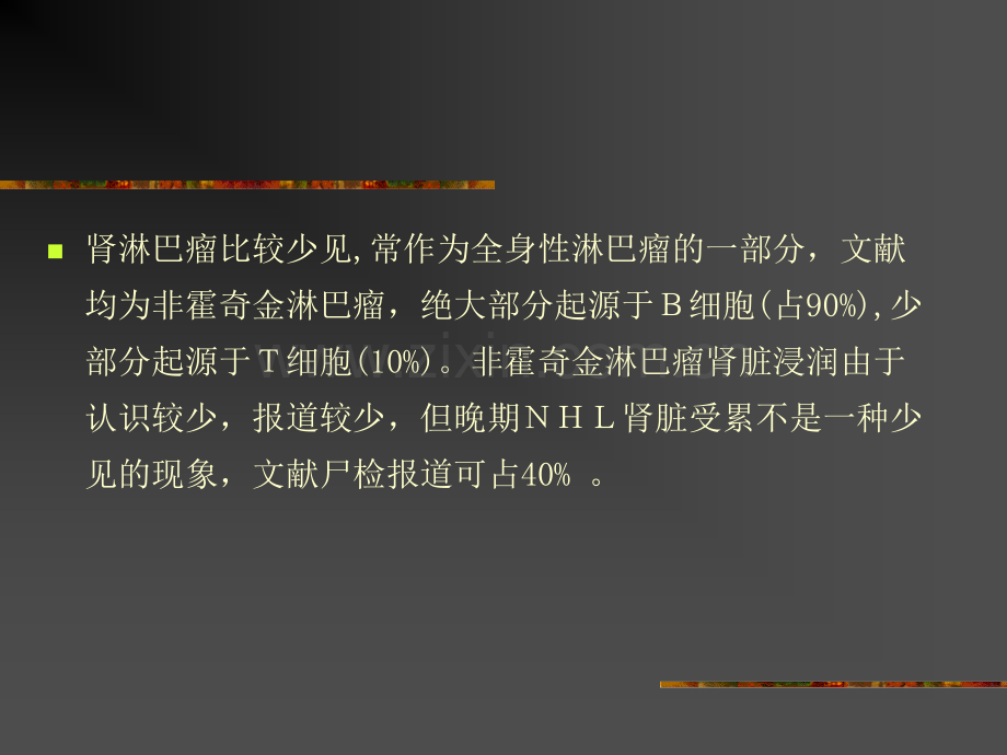 肾淋巴瘤的影像诊断.ppt_第2页