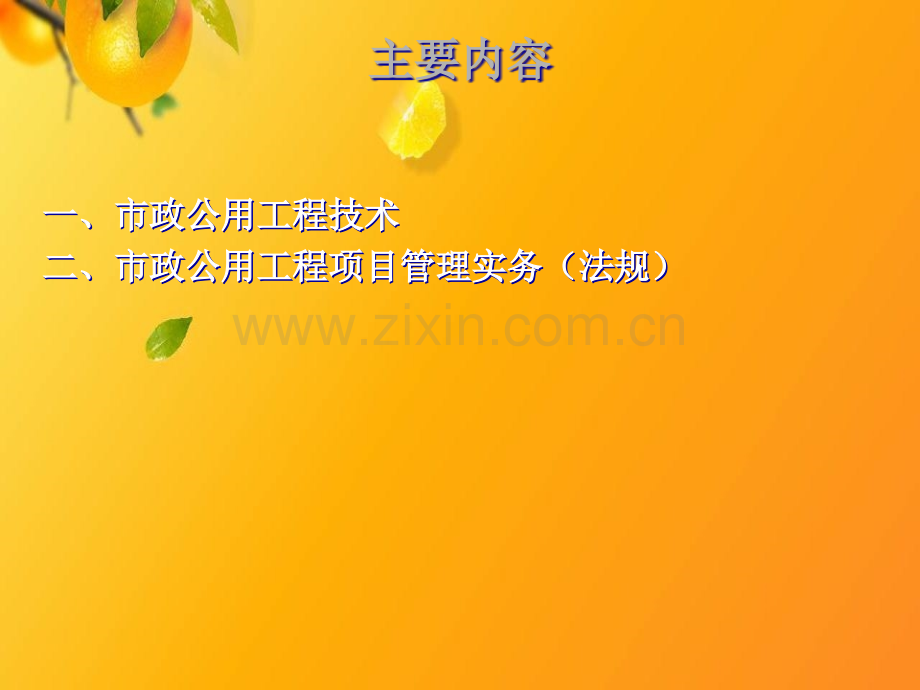 【优质文档】市政公用工程管理与实务(张国京)讲解-(一级建造师考试辅导).ppt_第2页