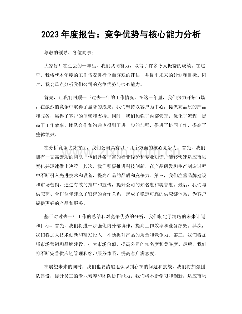 2023年度报告：竞争优势与核心能力分析.docx_第1页