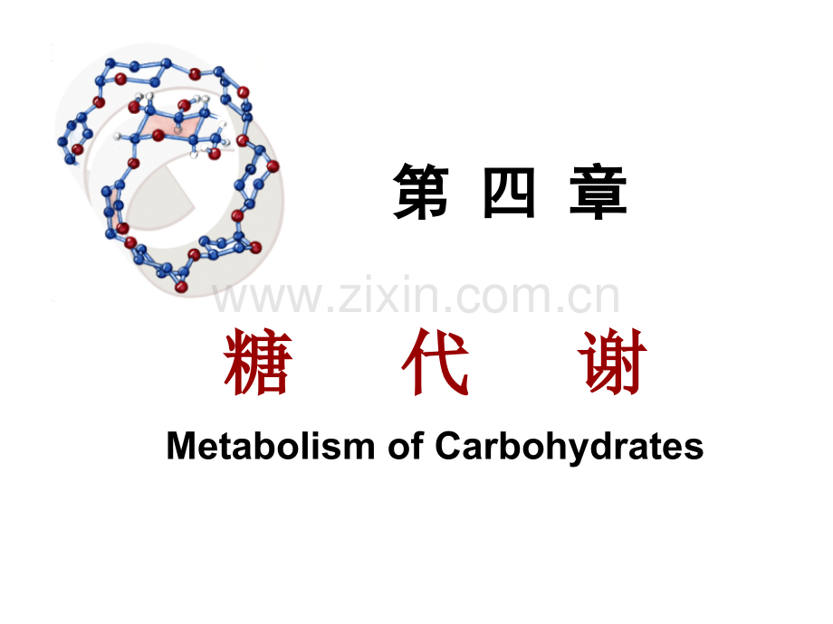 生物化学4-糖代谢.ppt_第1页