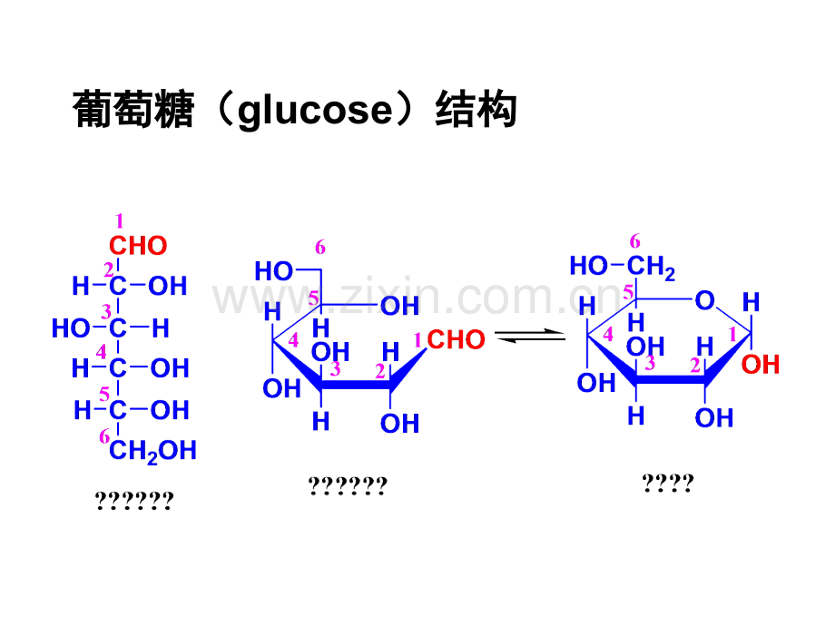 生物化学4-糖代谢.ppt_第3页