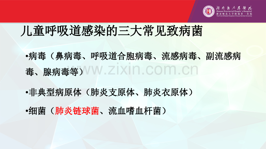 基层医疗机构儿童呼吸道感染的用药.pptx_第3页