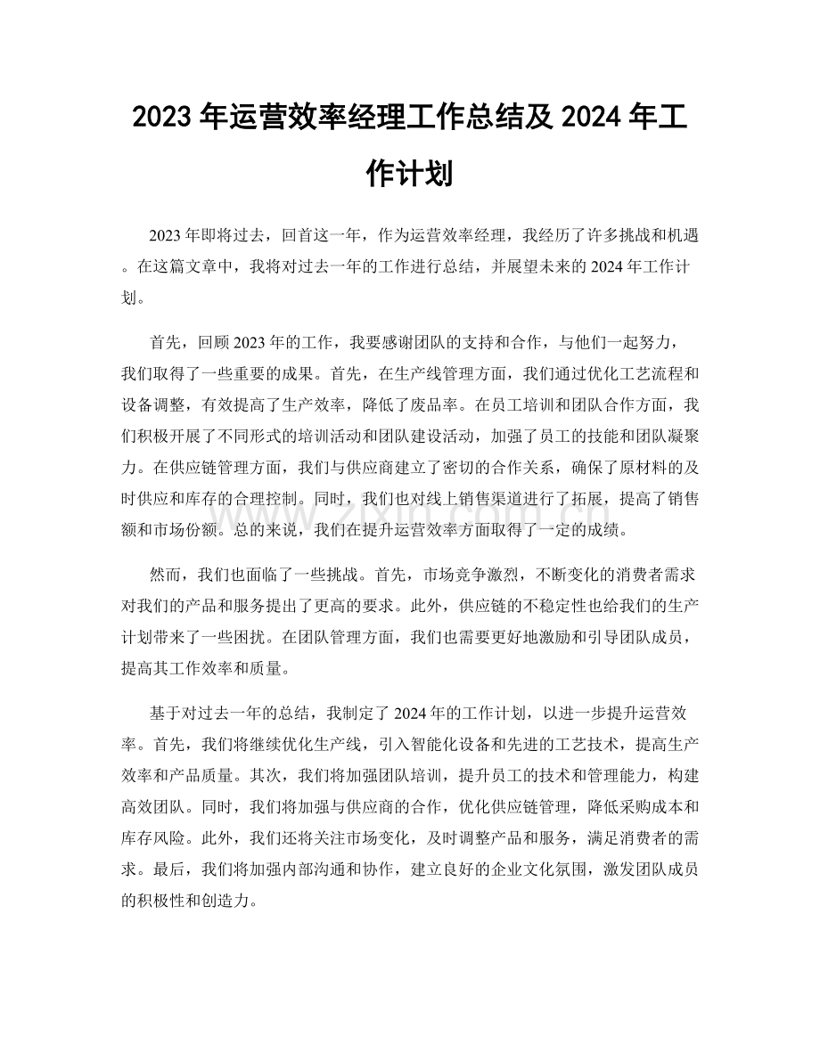 2023年运营效率经理工作总结及2024年工作计划.docx_第1页