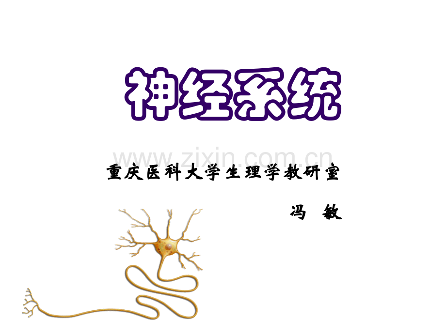 《生理学》神经系统.ppt_第1页