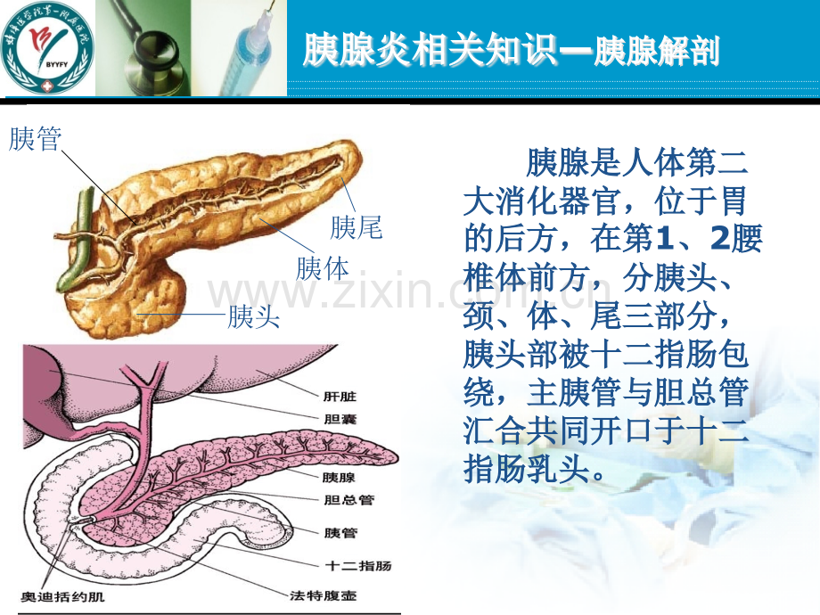 急性胰腺炎护理查房.ppt_第3页