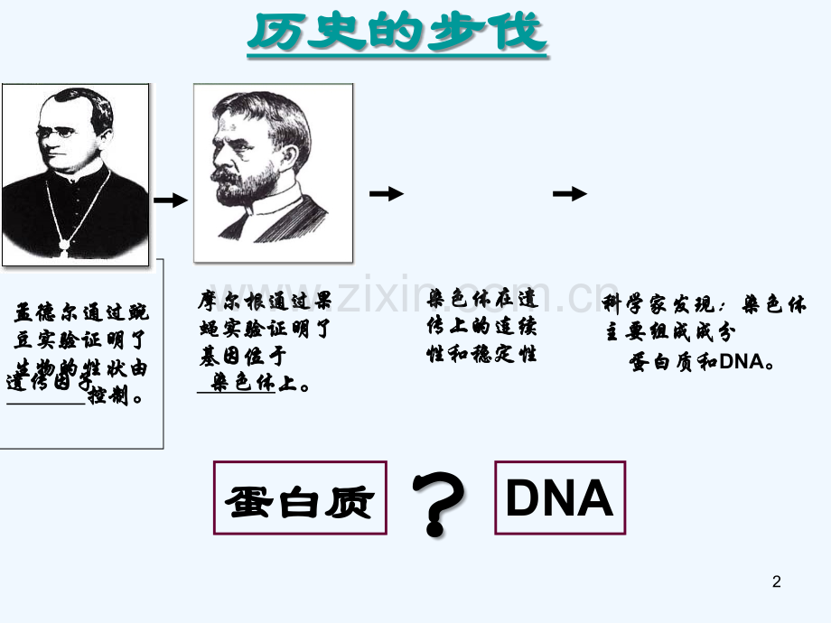 DNA是主要的遗传物质课件-PPT.ppt_第2页