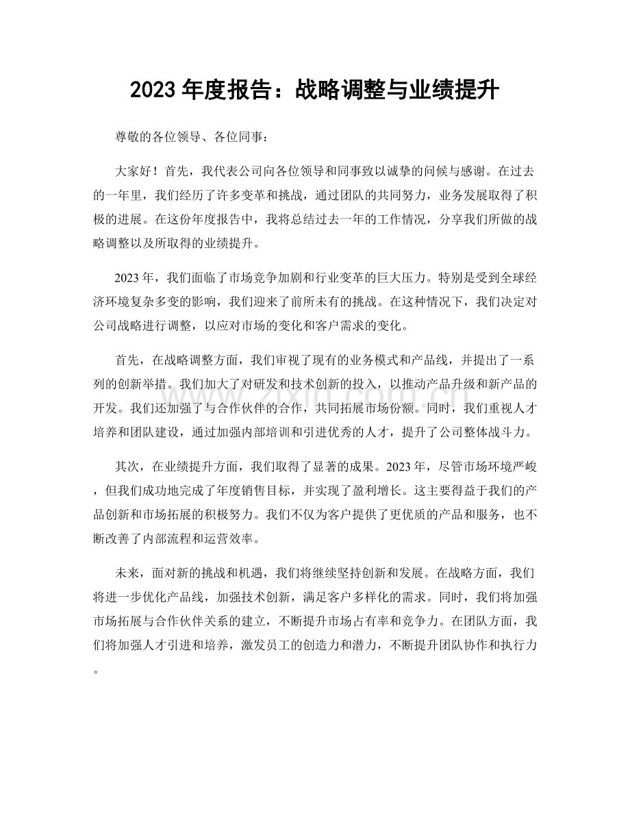 2023年度报告：战略调整与业绩提升.docx_第1页