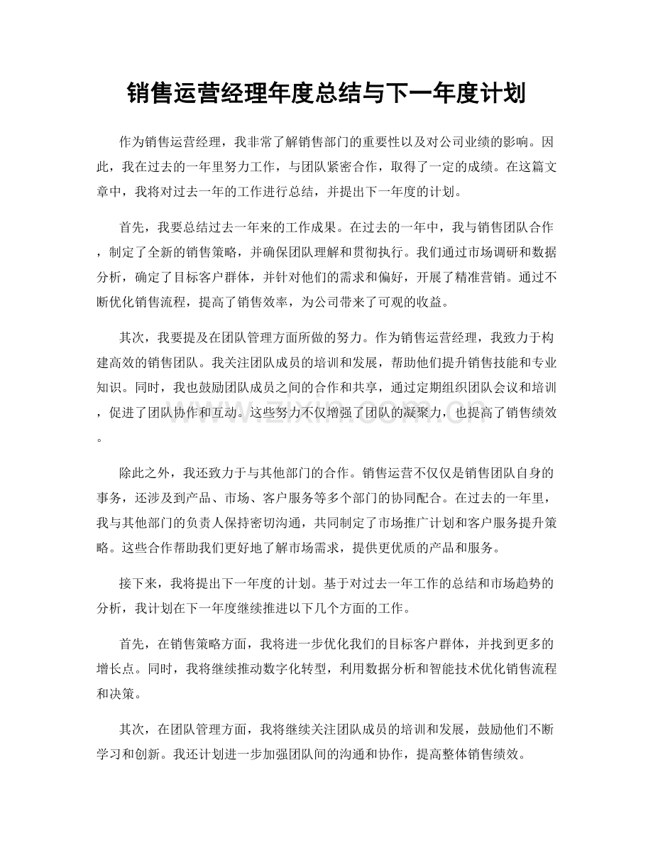 销售运营经理年度总结与下一年度计划.docx_第1页