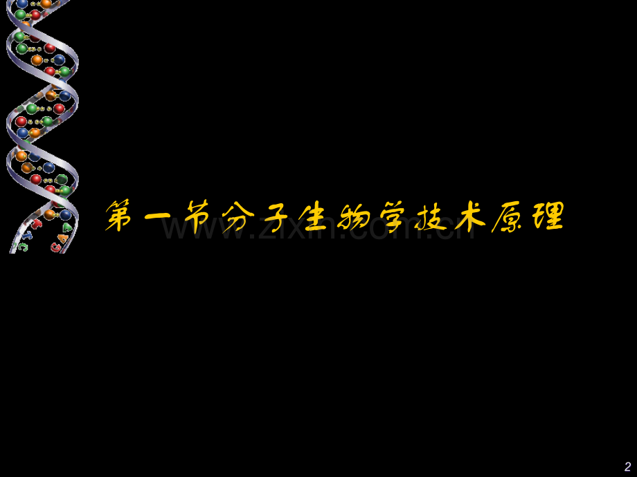 分子生物学技术原理.ppt_第2页