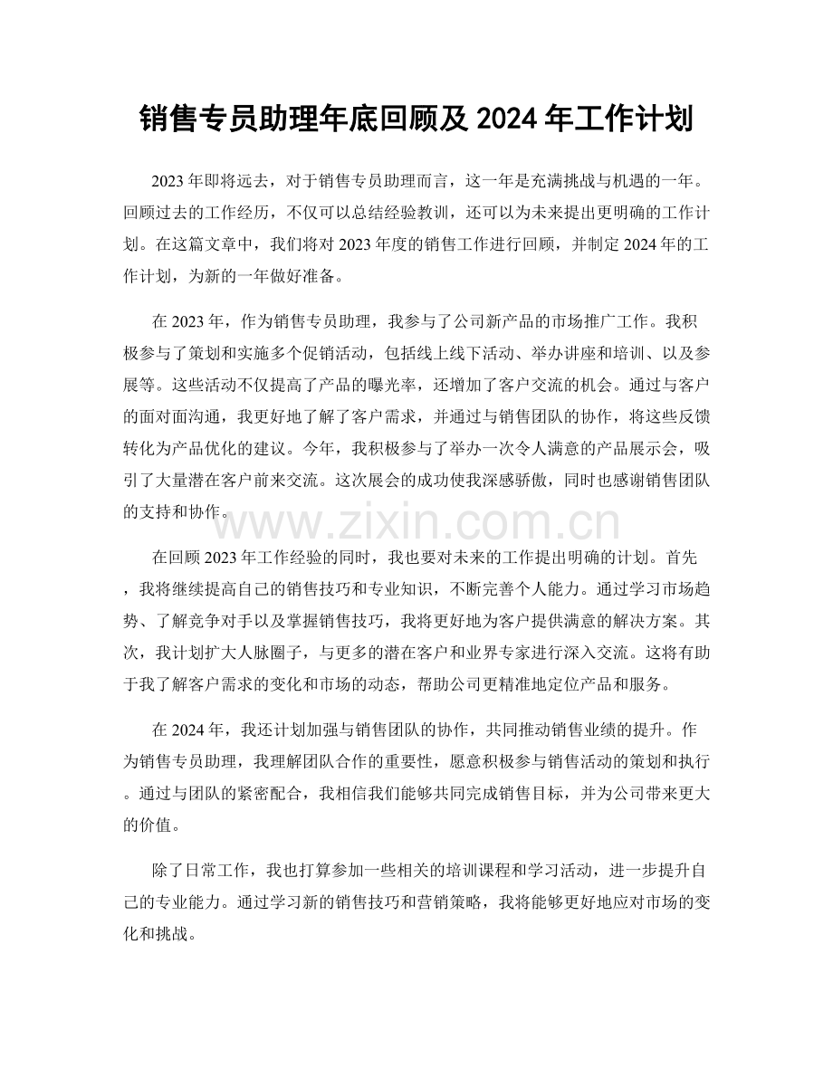 销售专员助理年底回顾及2024年工作计划.docx_第1页