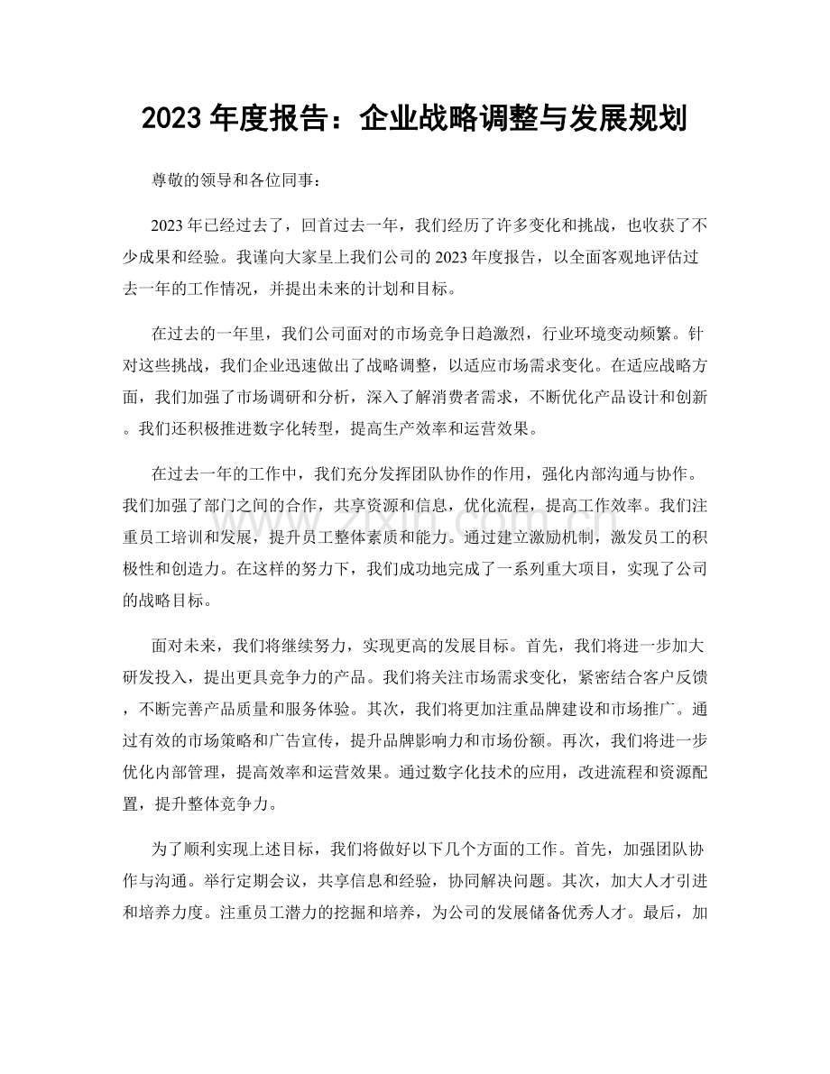 2023年度报告：企业战略调整与发展规划.docx_第1页