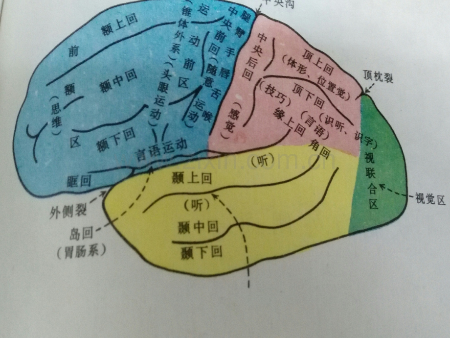 CTMR基本知识.ppt_第3页