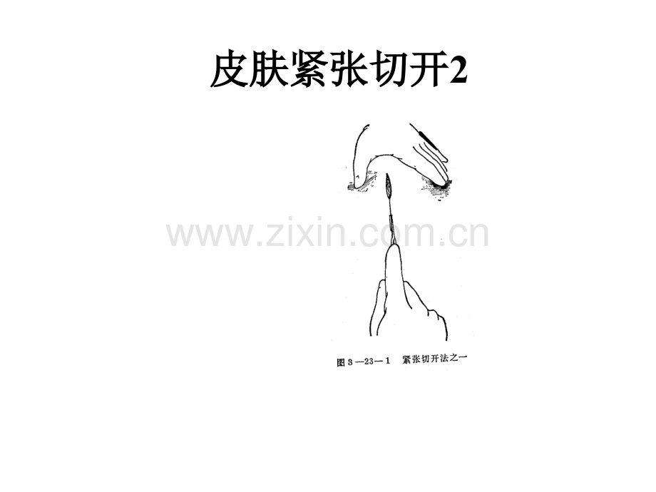 犬猫外科手术基础.ppt_第3页