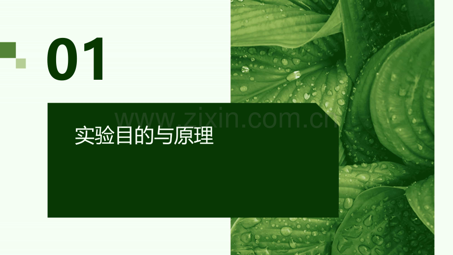 扭转实验实验报告.pptx_第3页