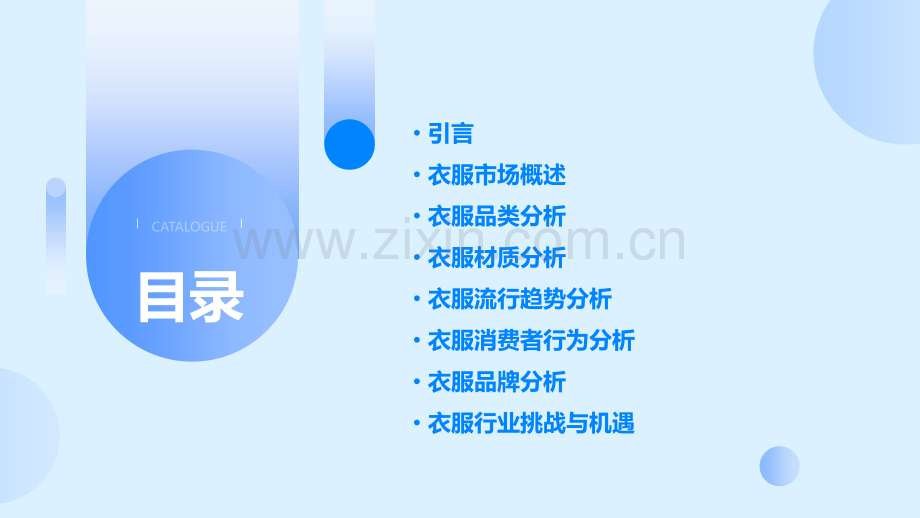 衣服分析报告.pptx_第2页