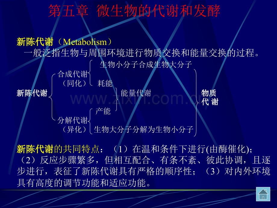 第六章---微生物的新陈代谢.ppt_第1页