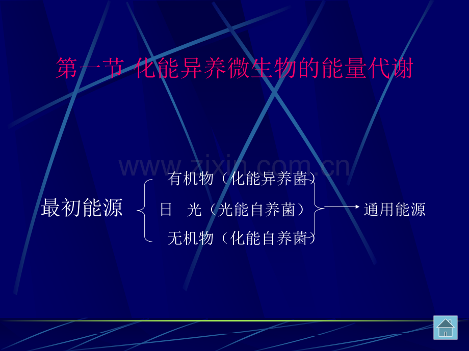 第六章---微生物的新陈代谢.ppt_第2页