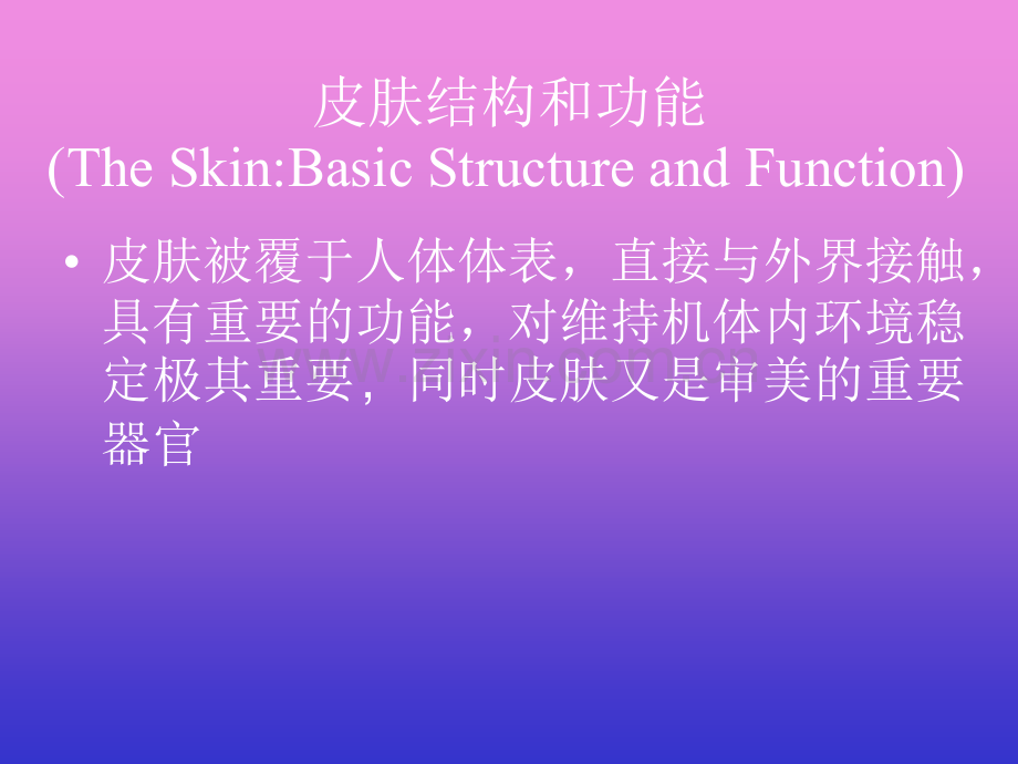 皮肤的结构与功能.ppt_第2页