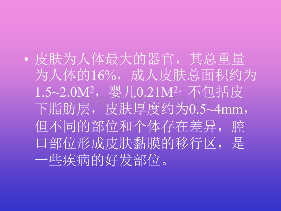 皮肤的结构与功能.ppt_第3页