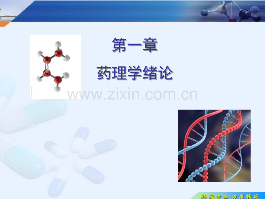 专科药理学第一章绪论第二章药动学.ppt_第1页