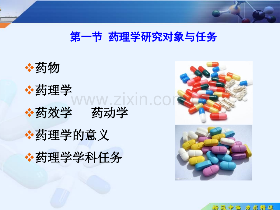 专科药理学第一章绪论第二章药动学.ppt_第3页