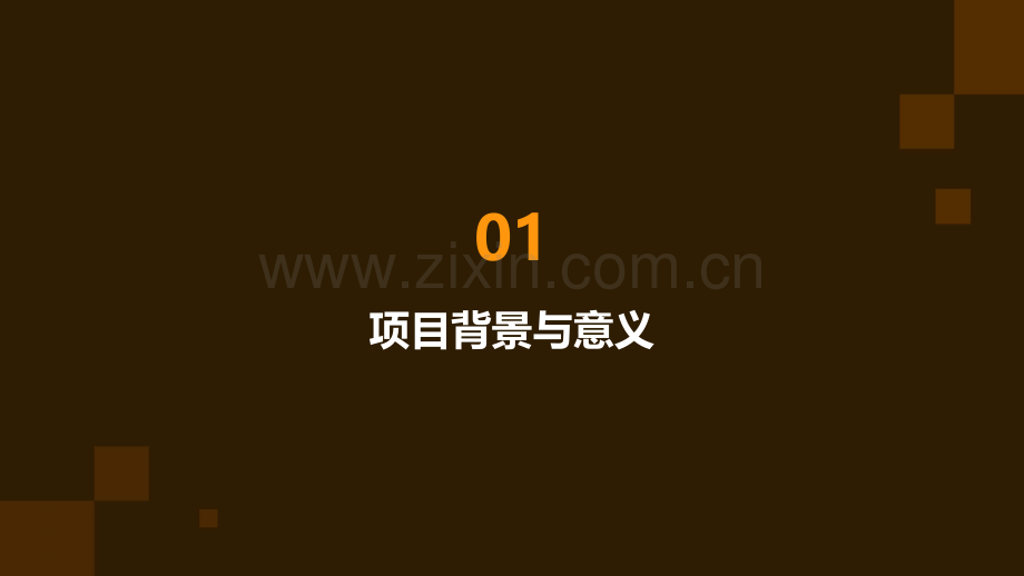 鳄鱼公园可行性报告.pptx_第3页