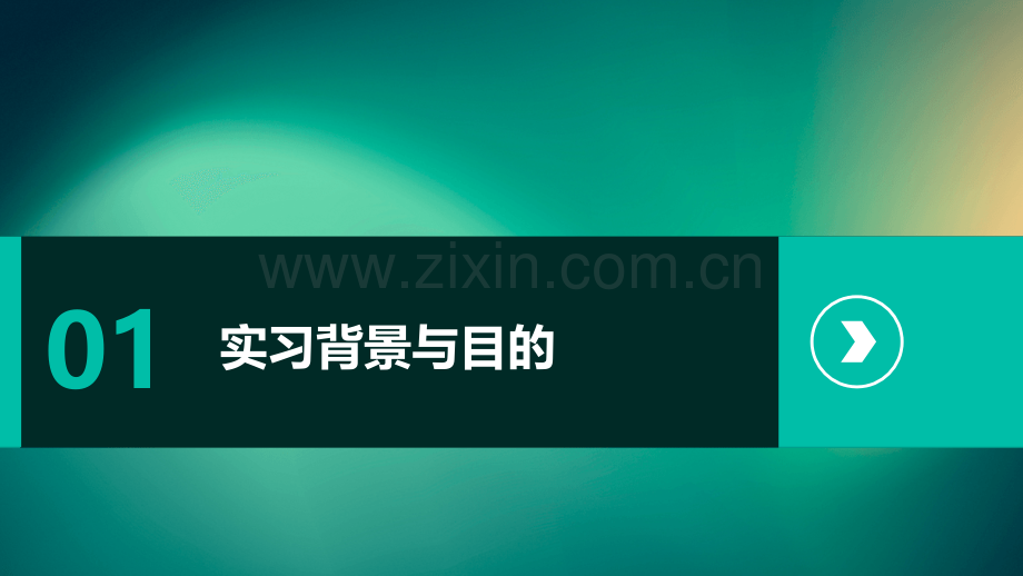 教师实习分析报告.pptx_第3页