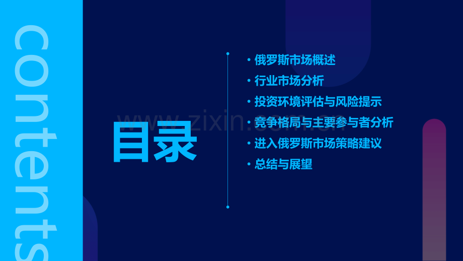 俄罗斯市场分析报告.pptx_第2页