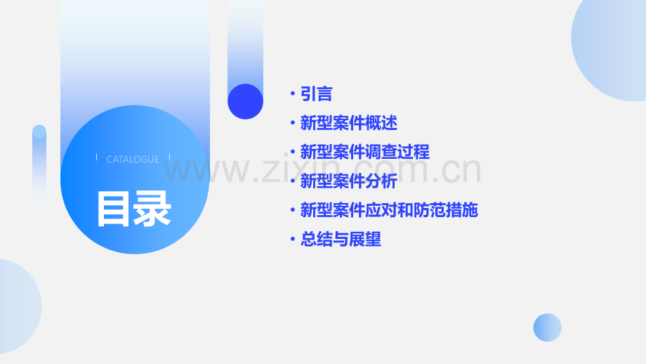 新型案件分析报告.pptx_第2页