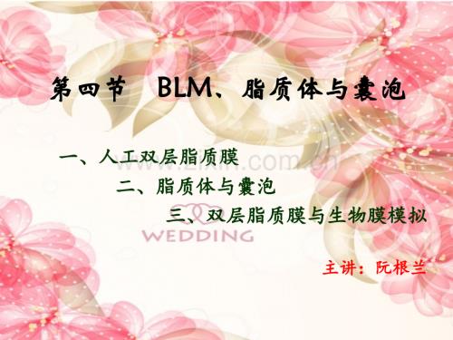 第四节BLM、脂质体与囊泡.ppt