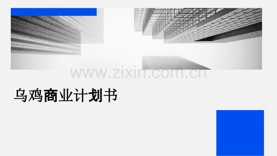 乌鸡商业计划书.pptx_第1页