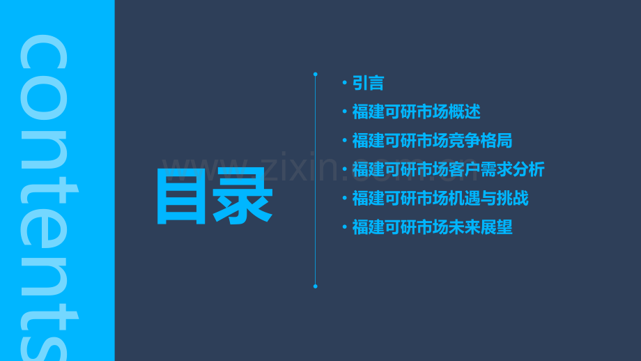 福建可研市场分析报告.pptx_第2页