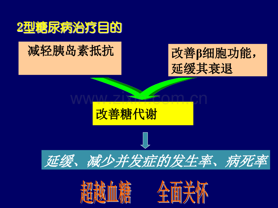 磺脲类药物的临床应用年.ppt_第2页