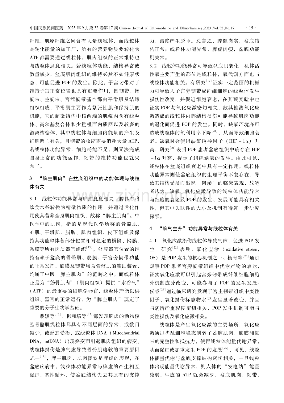 基于“脾-线粒体相关”探讨线粒体功能异常与盆腔器官脱垂的关系.pdf_第3页