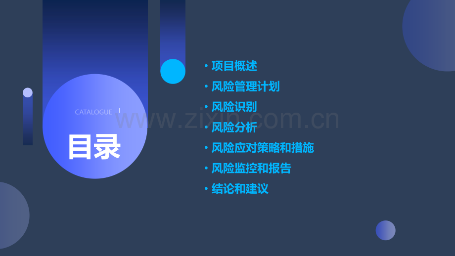 项目风险分析报告.pptx_第2页