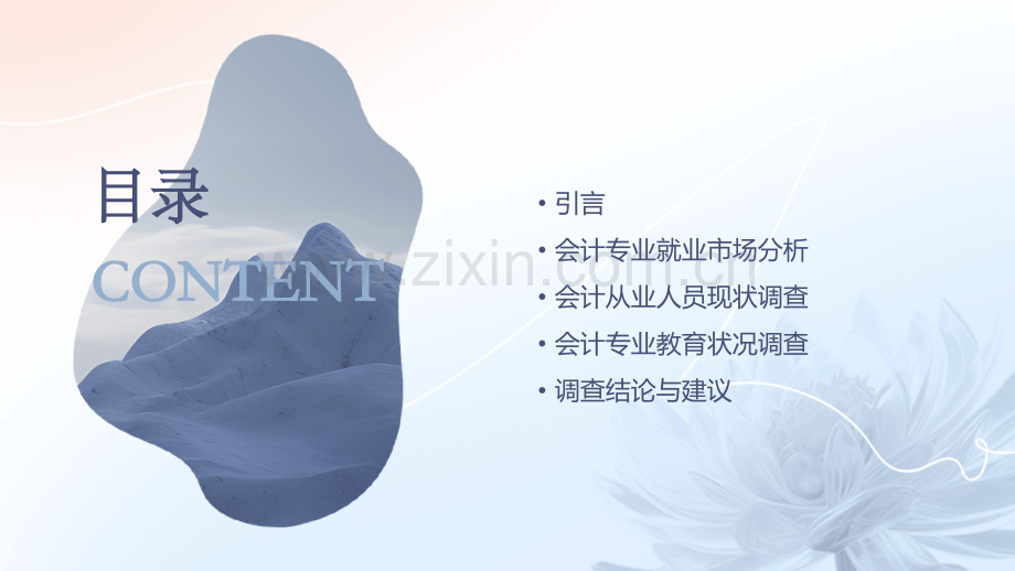 会计专业社会调查报告.pptx_第2页