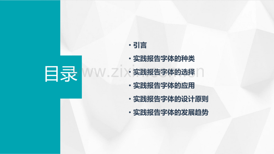 实践报告字体.pptx_第2页