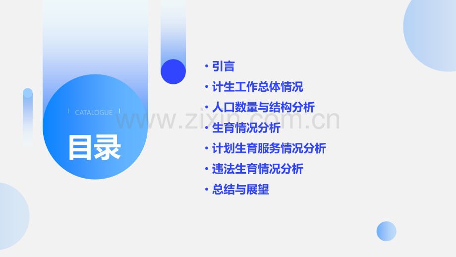 计生统计分析报告.pptx_第2页