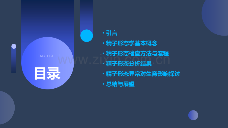 精子形态分析报告.pptx_第2页