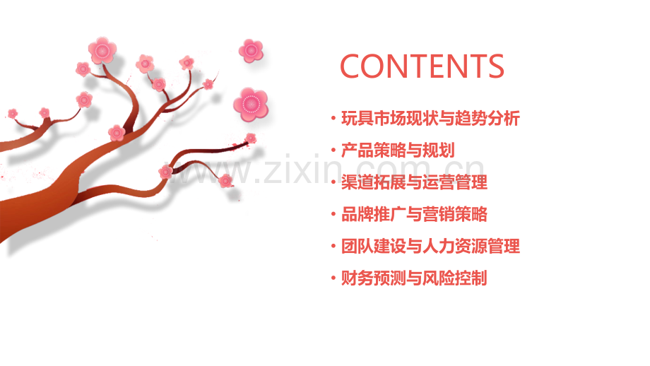 玩具运营计划书.pptx_第2页