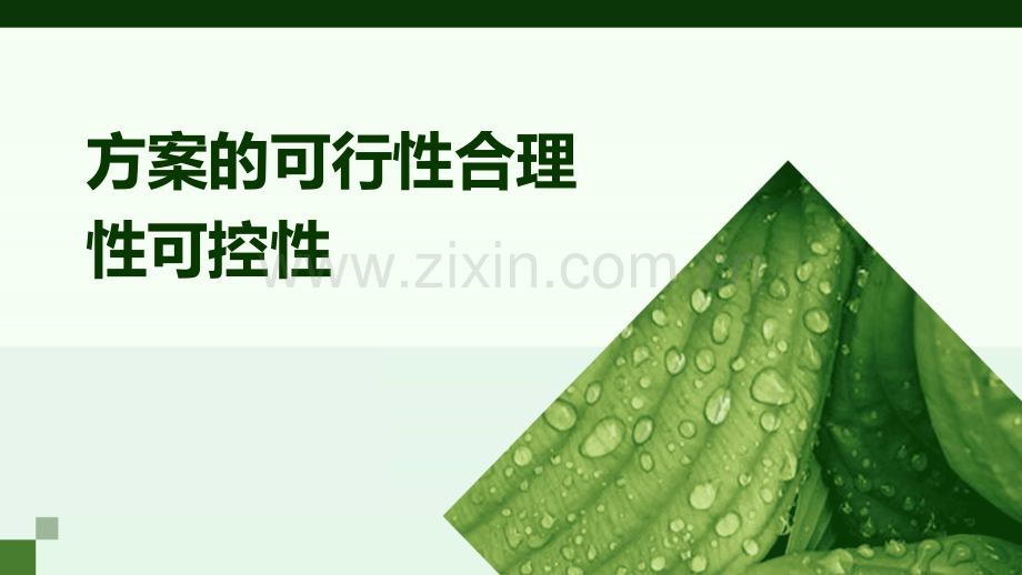 方案的可行性合理性可控性.pptx_第1页